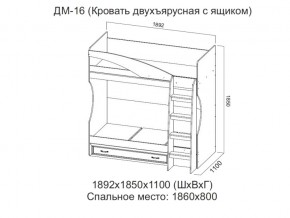 ДМ-16 Кровать двухъярусная с ящиком в Радужном - raduzhnyj.магазин96.com | фото