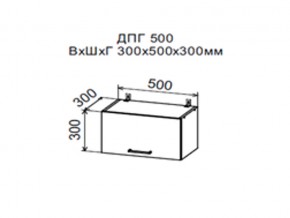 Шкаф верхний ДПГ500 горизонтальный в Радужном - raduzhnyj.магазин96.com | фото