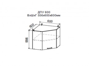Шкаф верхний ДПУ600 угловой в Радужном - raduzhnyj.магазин96.com | фото